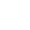 Bug Icon